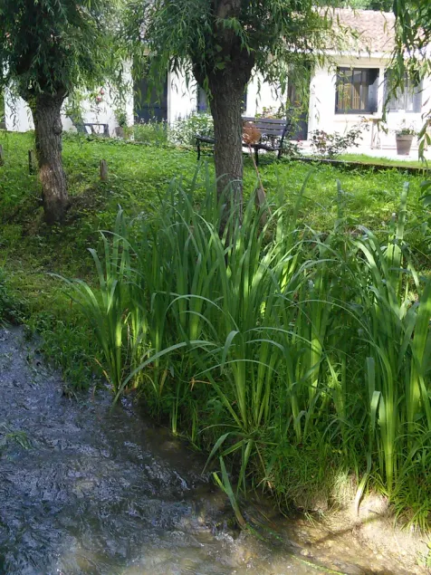 Au fil de l'eau en Perigord - Image 1