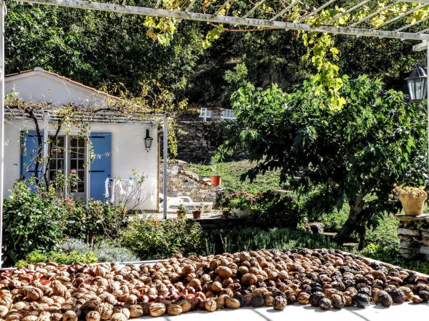 Gemütliches Haus mit Pool, umgeben von der Schönheit der Natur - Image 1
