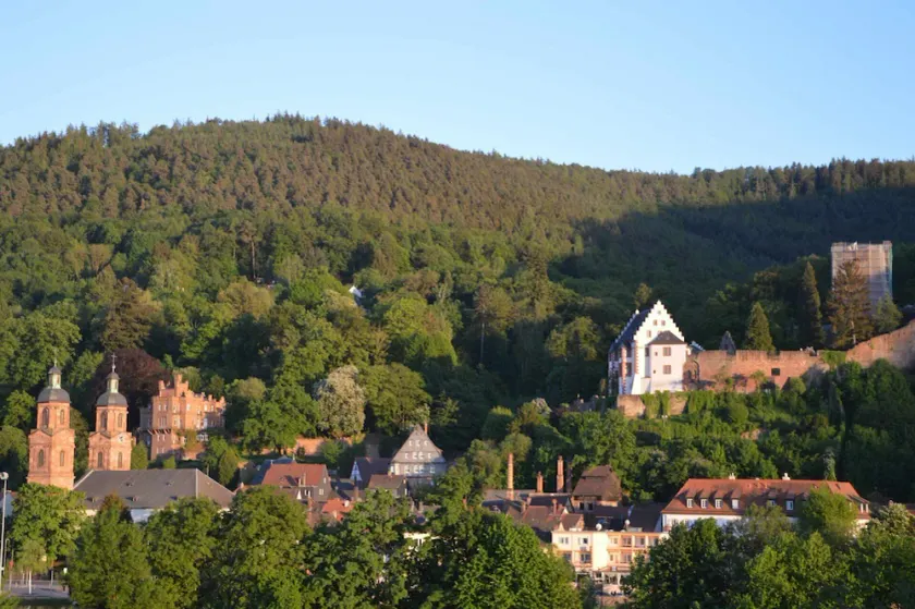 Panoramautsikt Miltenberg, 3 pers., Centrum, vid Main, terrass, båtuthyrning, P - Image 1