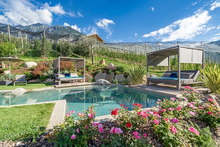Ferienwohnung \"Feldhof Apfeloase\" mit Salzwasser Pool, Panoramaliegewiese und Balkon - Image 1