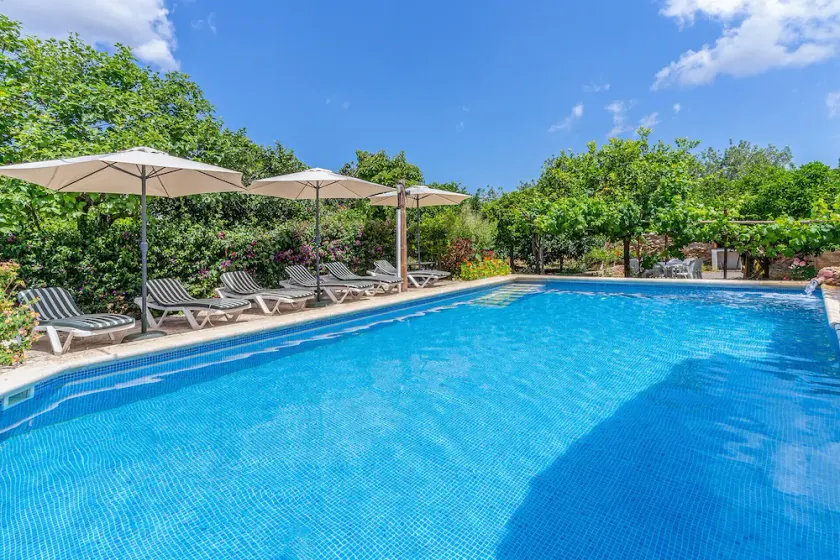 Cas Consul - Image 1