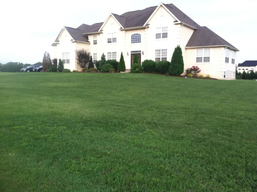 Executive Home 6,000 SQFT With Theatre Room And Large Yard - Image 1