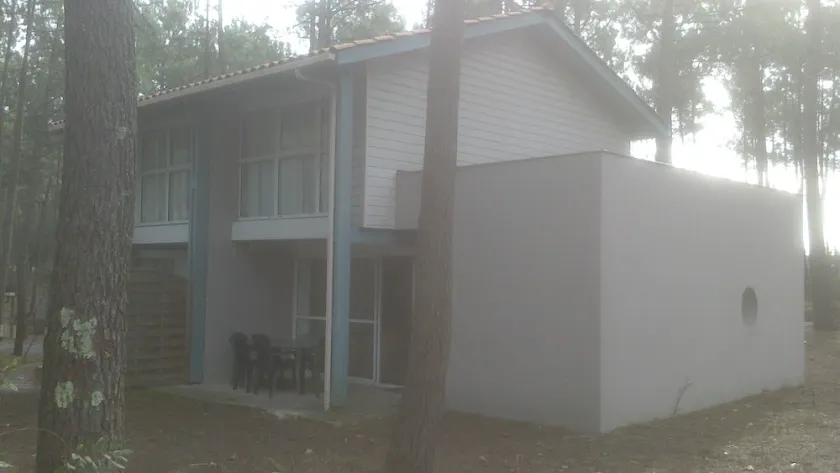 PROMO - Villa in the pine forest - Image 1