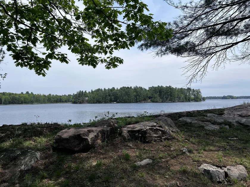 Historic but HiTech, modern Burleigh Falls cottage on Stony Lake. Amazing views - Image 1