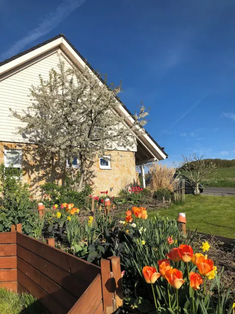Exclusive new holiday home with plenty of space at Bad Arolsen / Twistesee - Image 1