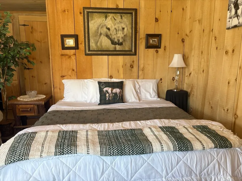 OMG!!! Cozy Log GUEST CABIN on Horse Ranch w Mountain Views. Pet Friendly! - Image 1