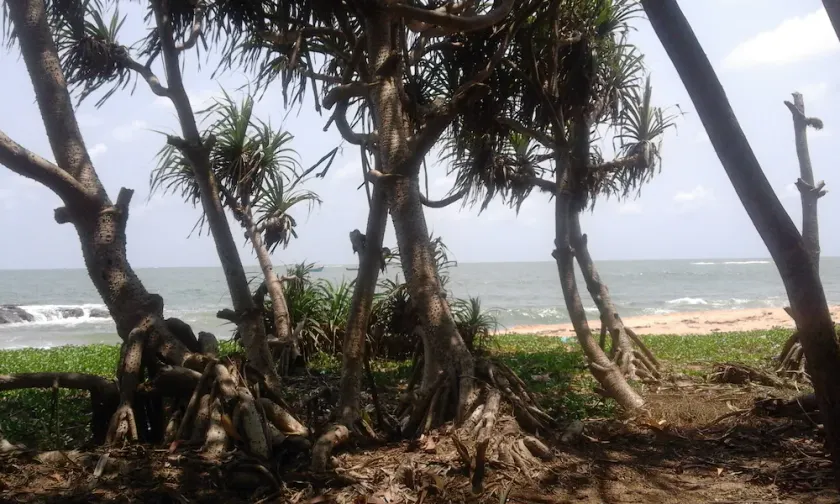 \"SAI DHAM\" Beach House Bungalow zu vermieten in Gujjadi - Image 1