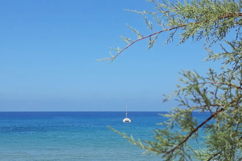 Appartamento con Bellissima Vista Mare ( IUN P5019 ) - Image 1