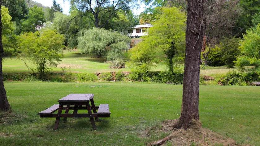 Tree View Cottage - Image 1