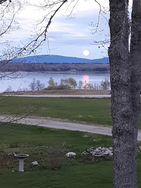 Détendez-vous et profitez d'une vue imprenable sur les montagnes et la baie - Image 1