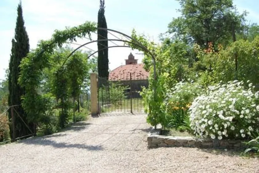 Trilocale nel bosco, non lontano dal mare - Image 1