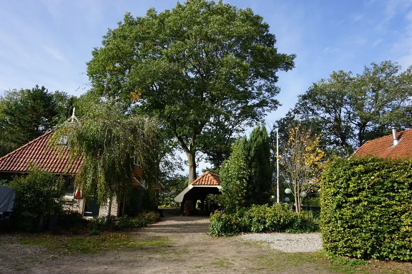 Kæledyrsegnet gård med en masse af privatlivets fred i en sø strand - Image 1