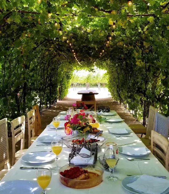 Tuscan villa nestled in the vineyard - Villa Riposo - Image 1