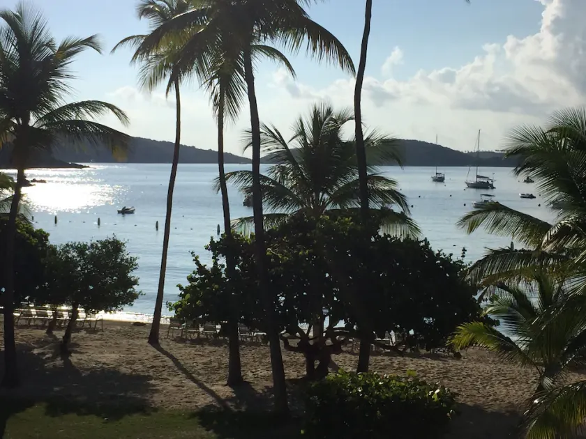 Best Beach Front Condo - 30ft from Cowpet Bay Beach - the Perfect Location! - Image 1