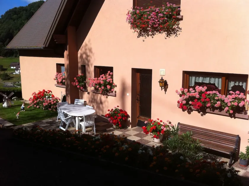 Ruhe, Erholung und Entspannung stehen bei dieser Ferienunterkunft im Herzen des Elsass auf dem Programm - Image 1