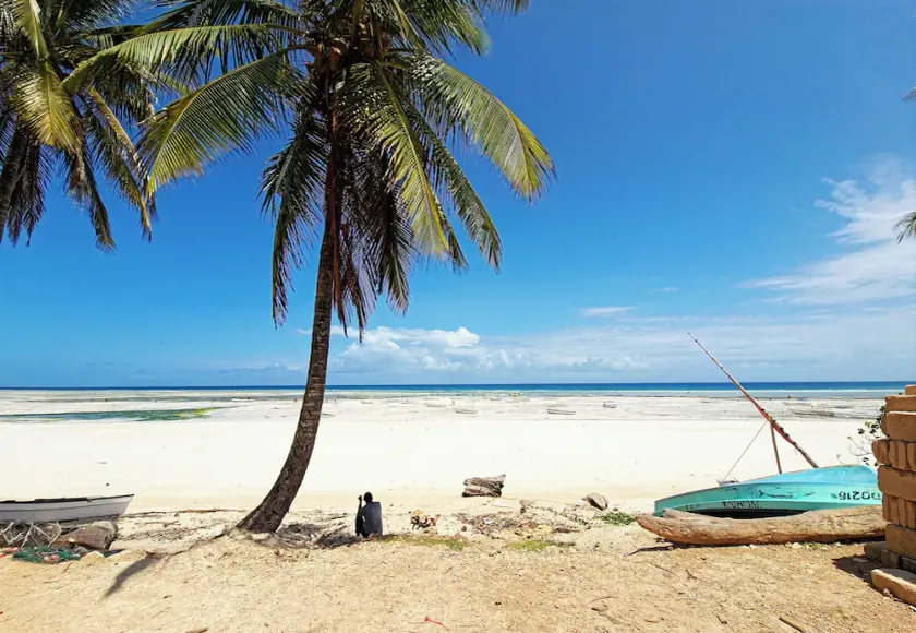 Miska Zanzibar - Image 1