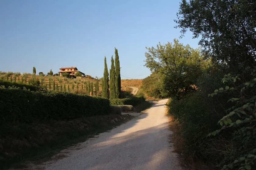 MAREMMA, SOM SEER! OASIS AF FRED OG AFSLAPNING I LANDSDET - Image 1