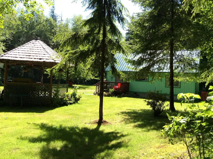 Private,Quiet,cabin,on 27 acres,w/ trails. near the Hoh Rain Forest Nat' l Park. - Image 1