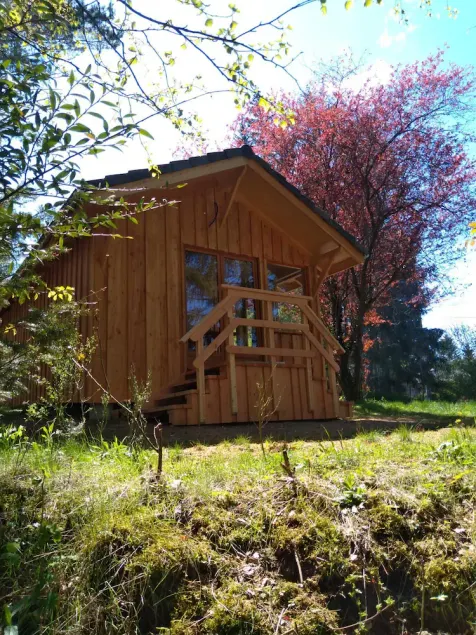 Chalet - Lac Daydat - Image 1