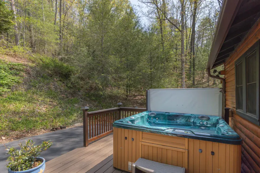 Your Smoky Mountain Cabin suite…In the heart of the Smokies.  Pet friendly! - Image 1