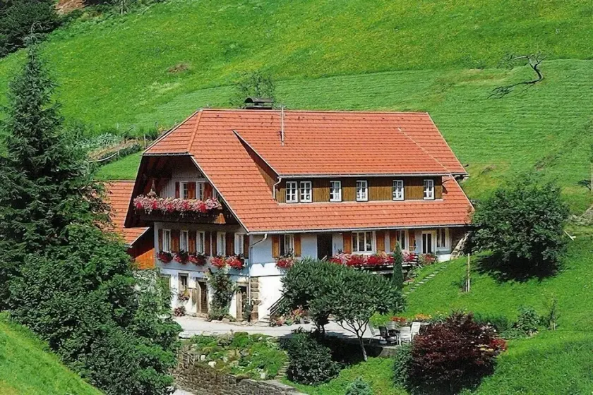 Apartamento em uma fazenda com cabras em um local isolado absolutamente calmo e ensolarado - Image 1