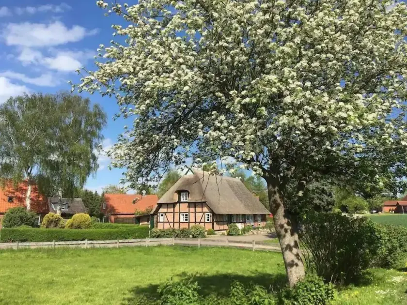 Haus-Ruhe-unter-Reet - Image 1