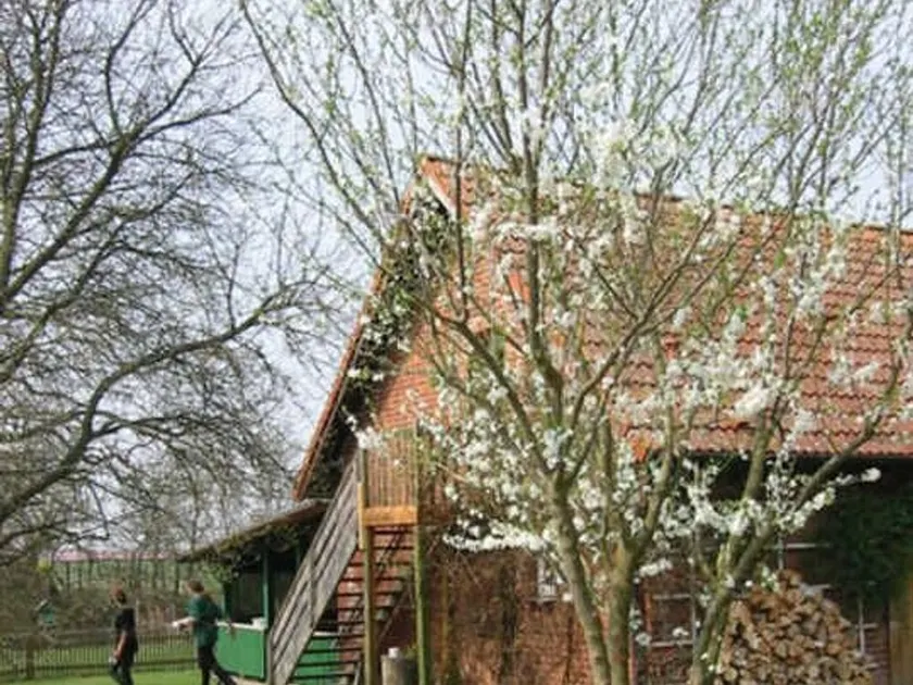 Landhof zur Meierei - Image 1