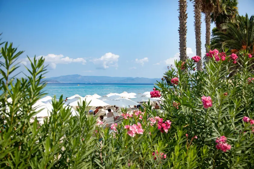 Olive Grove Panorama Suites-Luxury Sea View Villas in Halkidiki - Image 1