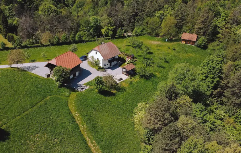 Pet friendly home in Mokronog with sauna - Image 1