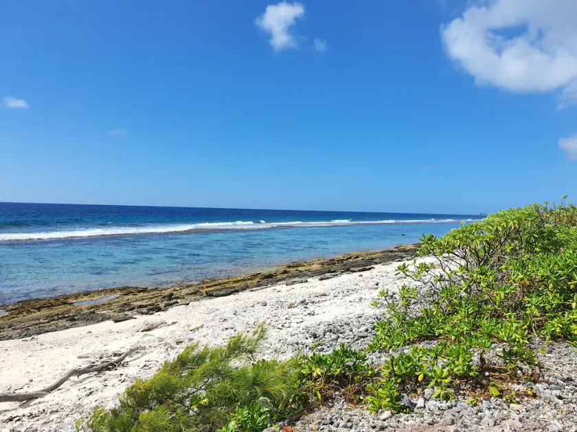 MOOREA - Fare Coraline Right - Image 1