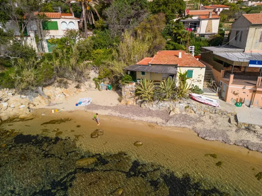 Agave direclty on the beach - Goelba - Image 1