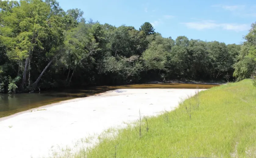 Red Creek Getaway 2 houses on 500 acres, with hot tub and access to 5 sandbars! - Image 1
