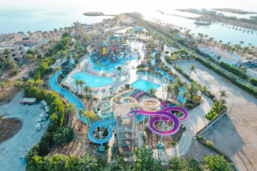 Calimera Blend Paradise - Image 1