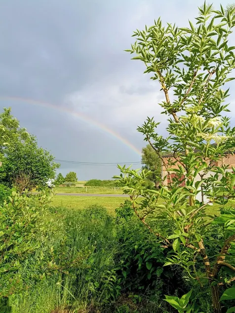 Familieferie direkte på søen - Image 1