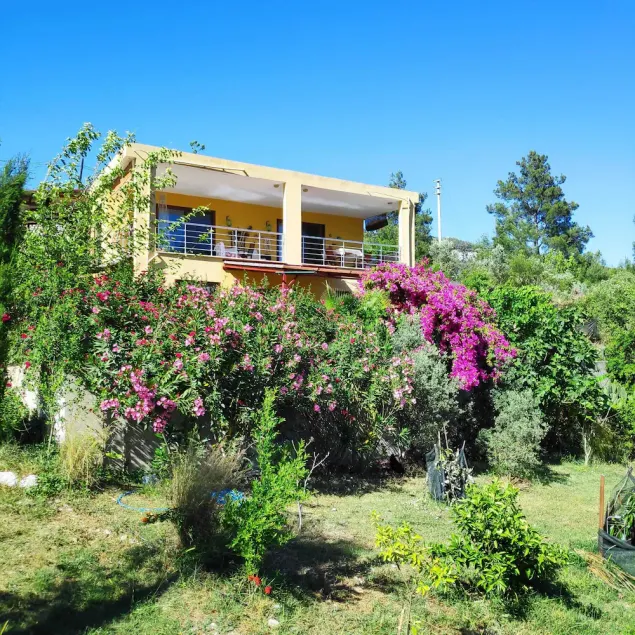 Cirali Sunny House - På vej til Çıralı-stranden - Image 1