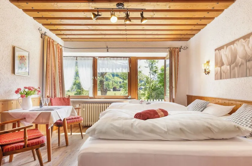 Ferienwohnung \"Zinnkopf\" (27 qm), Südostbalkon o. Terrasse, Kochnische, WLAN, 1 Wohn-/Schlafzimmer, max 2 Pers, WLAN - Image 1