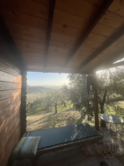 Lodge in the olive grove - Image 1