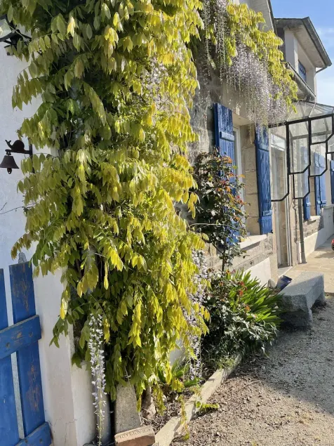 Country by the sea! - Image 1
