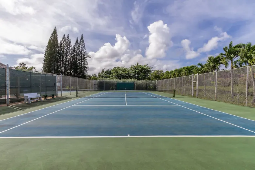 Tropical Paradise * Legal * Permit # 90 / TVU-0213 - Image 1