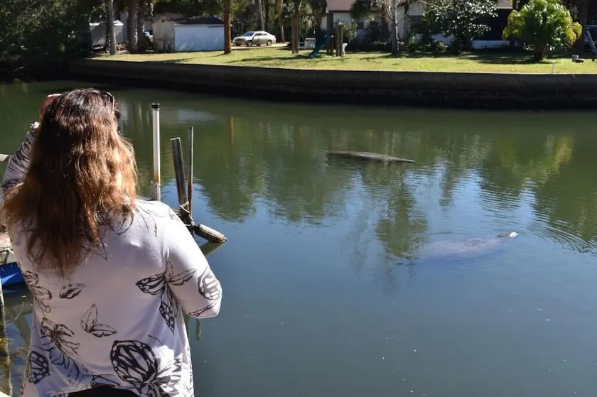 \"Salty Siren\" Mermaid Themed Room at Weeki Wachee Waterfront Adventure Retreat - Image 1