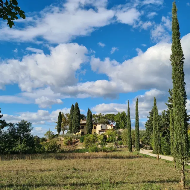 Toscansk villa med panoramaudsigt - nær Firenze, Siena & Arezzo - Image 1