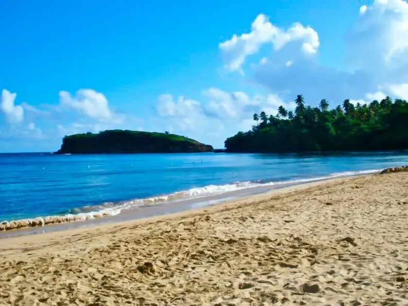 Wohnung - Cerro Gordo Beach - Image 1