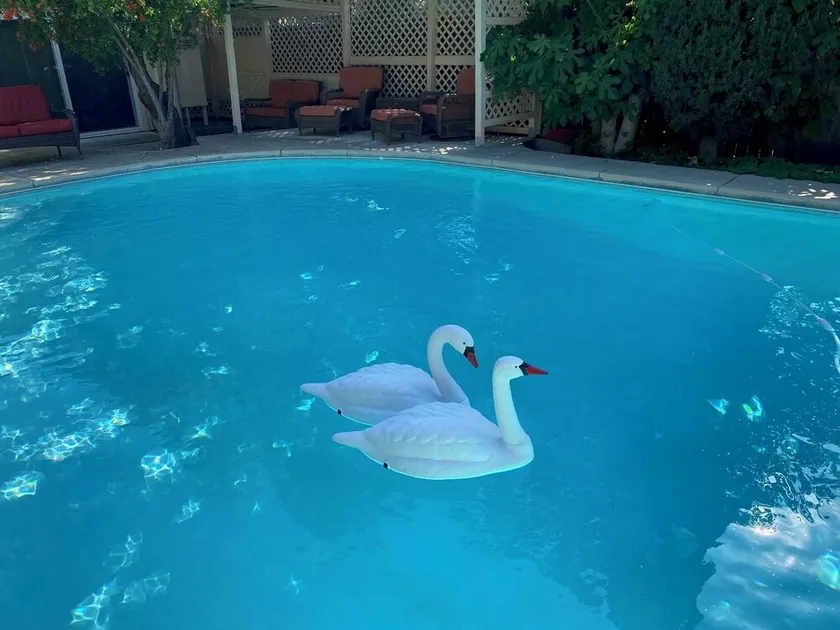Hidden Oasis with pool and garden - Image 1