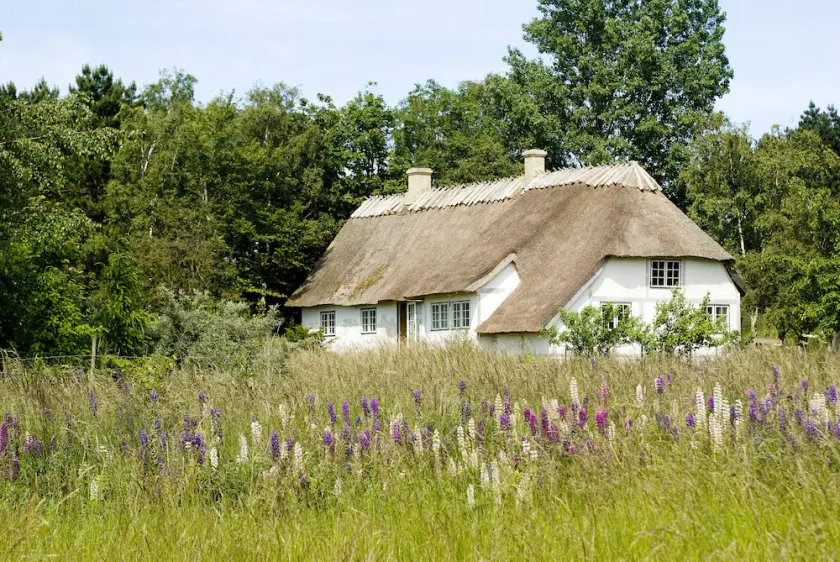 Farmhouse idyll at Møns Klint - Image 1