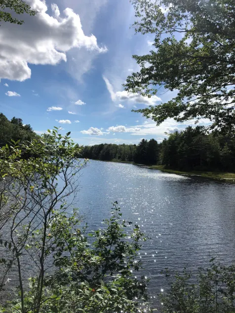 Maine Cabin on the Water - Image 1