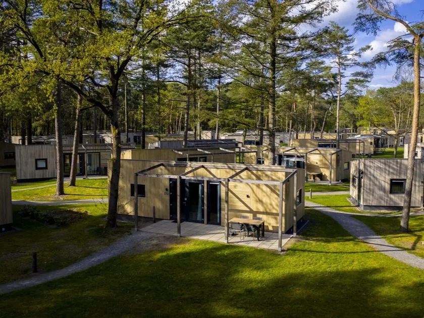 Forest Safari Tent Retreat - Image 1