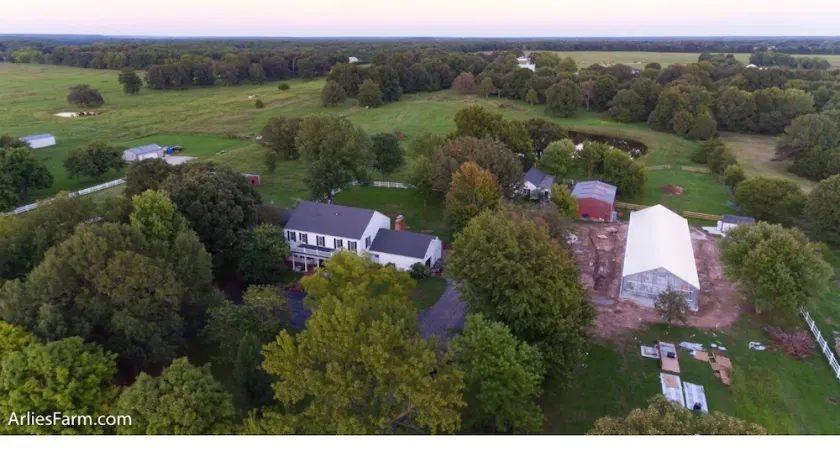 Der Bombay Getaway auf Arlies Farm. - Image 1