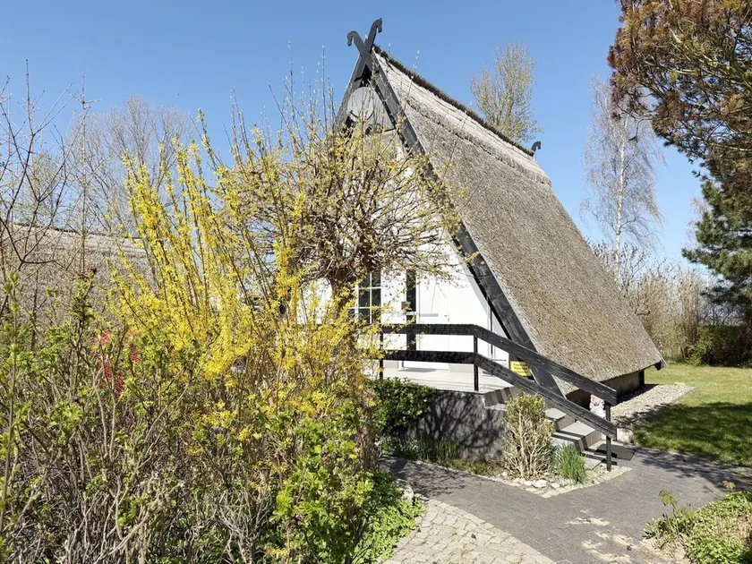 MR: Finnish house no. 05 with terrace - Finnish house no. 05 with terrace - Image 1
