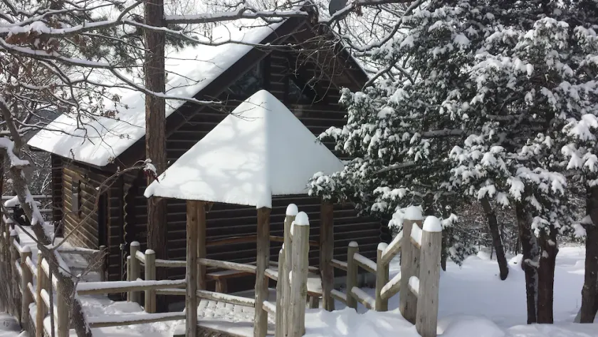 Cherokee Mountain log Cabins - Image 1