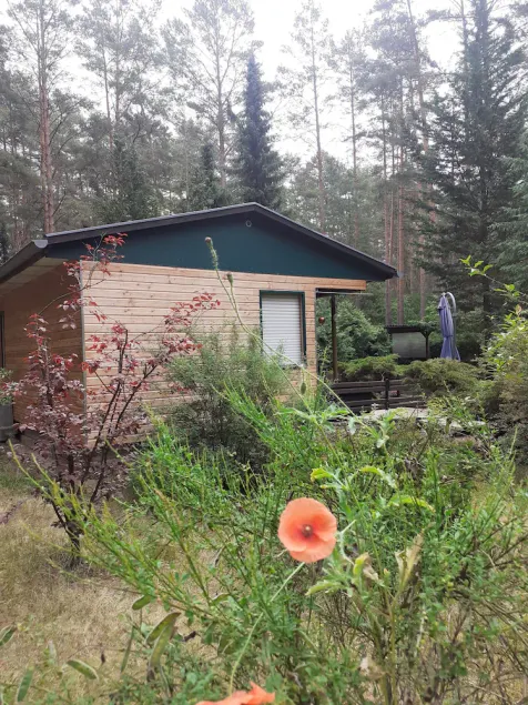 Ferienhaus Waldoase für 2 - 3 Personen, Freistehend auf Eingezäuntem Grundstück - Image 1